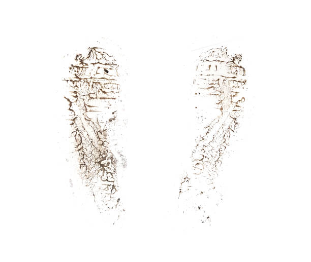 Two black dirty footprint isolated on white background