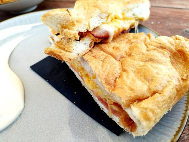 istock Grilled  ham and cheese sandwich summer food pannini 1695087423