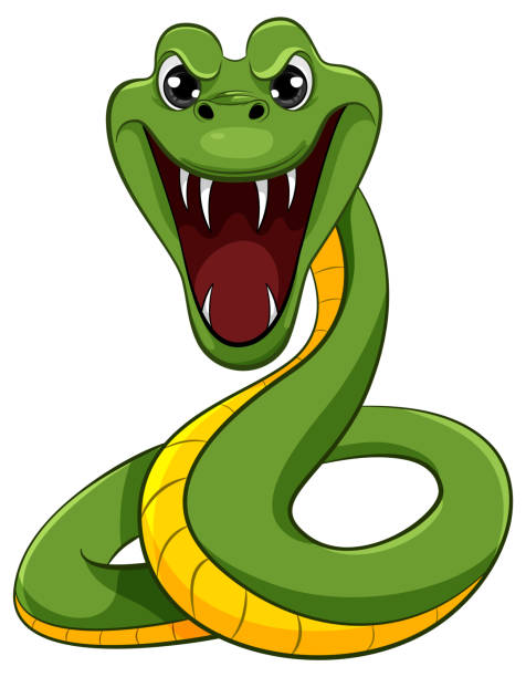 Green Snake Biting A green snake with scales and sharp teeth is ready to bite, isolated in a vector cartoon illustration style fanged stock illustrations
