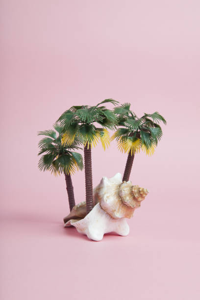 istock A conch shell used as a metaphor for a tropical island 1695117823
