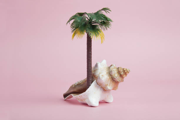 istock A conch shell used as a metaphor for a tropical island 1695117834