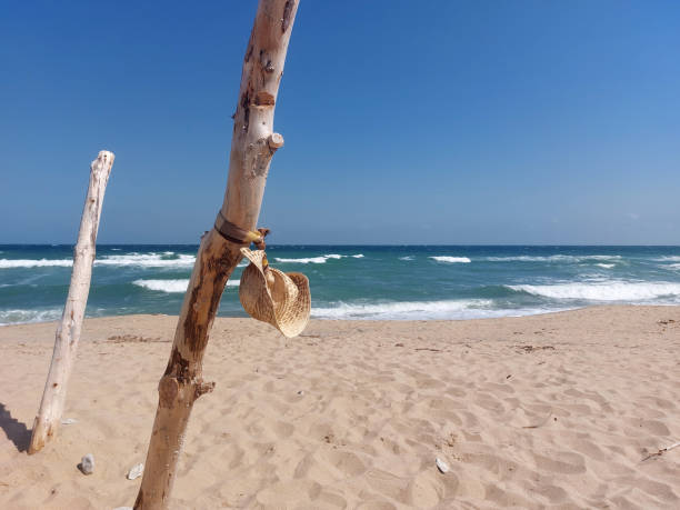 istock Hanging woman hat on a tree trunk on the beach 1695124500