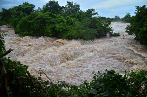 istock Champassak area in South Laos 1695130153