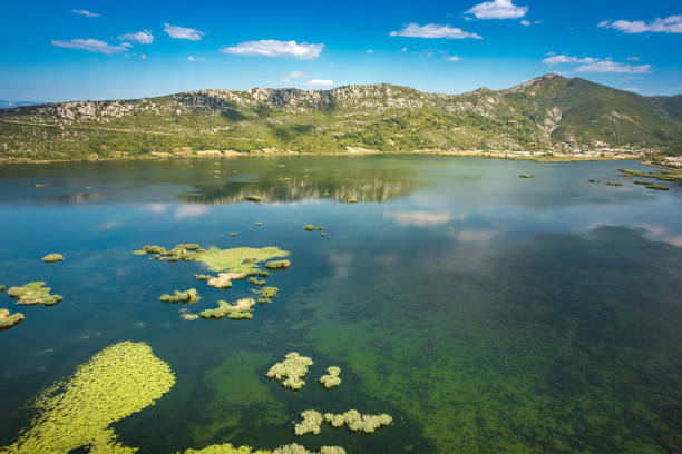 luftaufnahme des nationalparks - hutovo blato, bosnien und herzegowina - lillypad lily water lily water stock-fotos und bilder