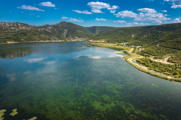 luftaufnahme des nationalparks - hutovo blato, bosnien und herzegowina - lillypad lily water lily water stock-fotos und bilder