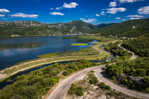 luftaufnahme des nationalparks - hutovo blato, bosnien und herzegowina - lillypad lily water lily water stock-fotos und bilder