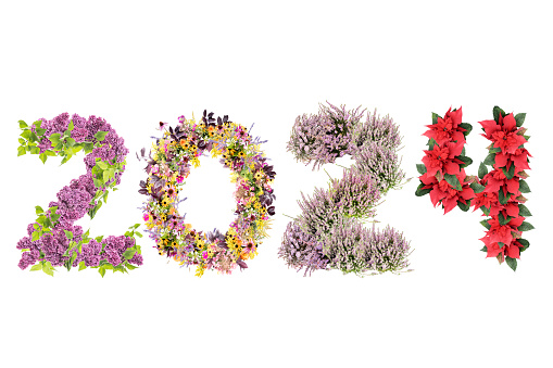 New Year 2024 date arranged from seasonal flowers representing four season of the year
