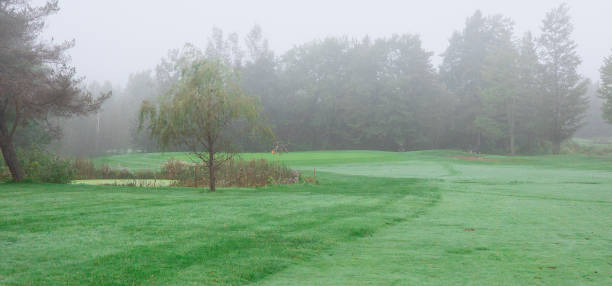 istock Pretty golf hole in the morning mist 1695155508