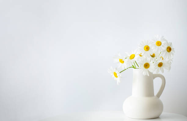 istock wildflowers in white jug on white background 1695160127