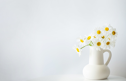 wildflowers in white jug on white background