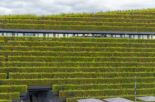 Düsseldorf, Germany, September 2023: The building's facade (Green House) is made of hedge plants
