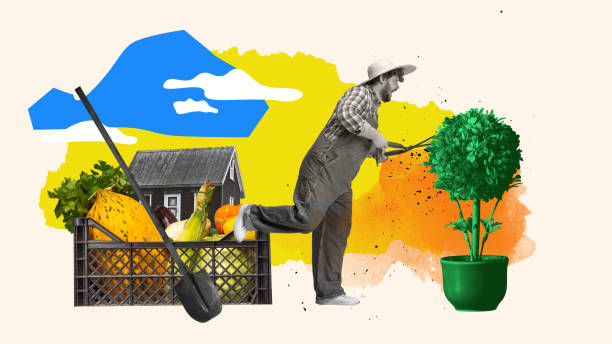 istock Young guy in straw hat, gardener working, cutting bushes, picking vegetable up. Taking care after garden. Contemporary art collage. 1695212532