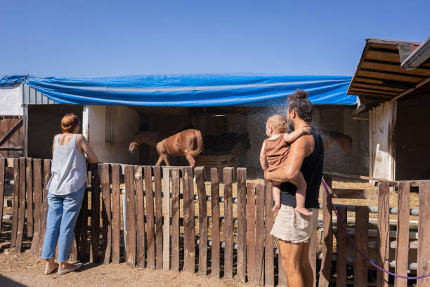 istock Little baby doing farm work with his family 1695238862
