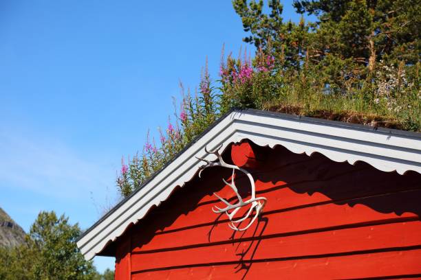 Hunting log cabin in Norway