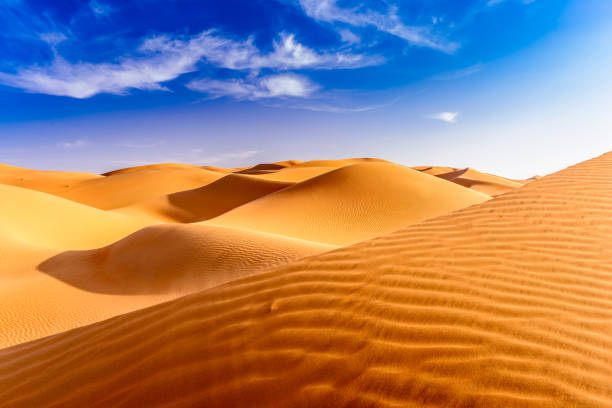 istock Beautiful sand dunes in Liwa desert 1695255083