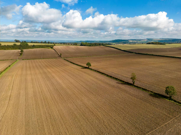 istock Agricultural Land - North Yorkshire - England 1695268401