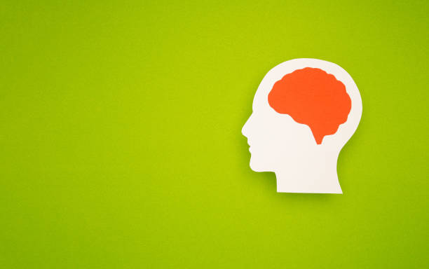 istock A brain shape symbol on a green background 1695275661