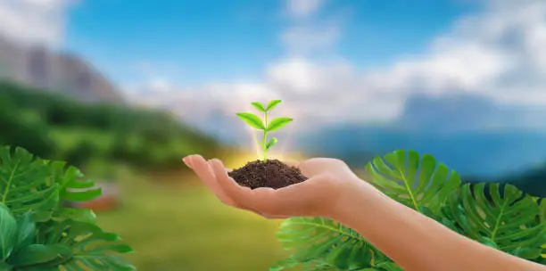 Green plant in hand. energy sources for renewable, sustainable development