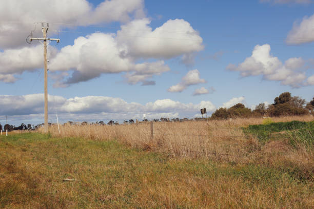istock australian rural landscape with fields and electricity pole 1695288654