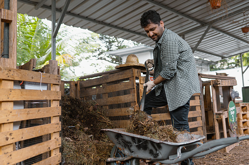 Asian indian farmer moving compost from storage onto a wheelbarrow