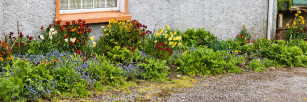 Colroful facade garden in front yard of house in Cork Munster province in Ireland Europe