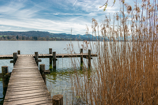 Pfaeffikon, Canton Zurich, Switzerland, April 10, 2023 Little wooden pier at the coast of the lake Pfaeffikersee with a fascinating view over the local area