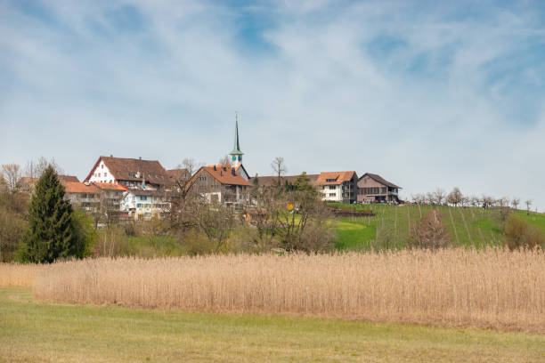 istock Seegraeben in Zurich in Switzerland 1695317252