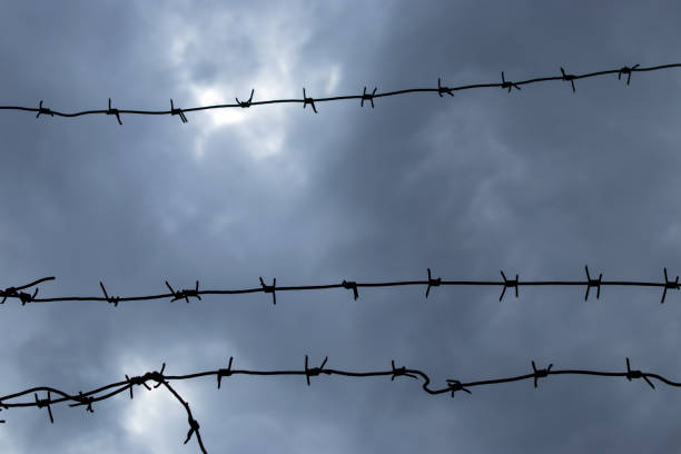 istock Tensioned barbed wire against a background of thick dark clouds 1695340938