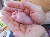 Baby feet cupped into parents hands