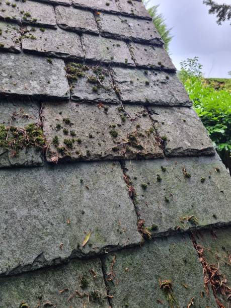 istock Slate roof tiles 1695363693