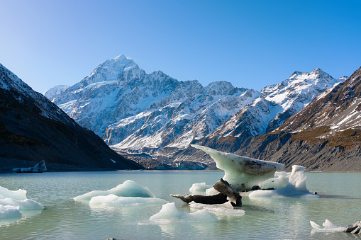 Small icebergs float on the surface of beautiful Hooker Lake, whilst the snow-capped peak of Mt Cook looms majestically in the background.