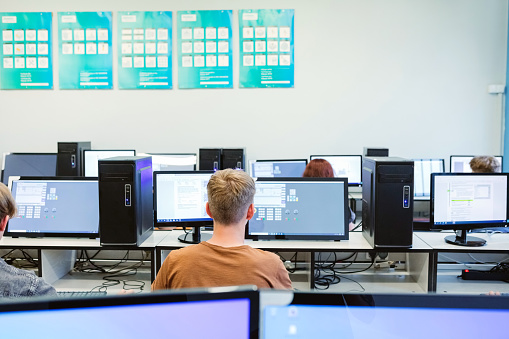 Back view of gen Z teenage high school students using computer durning programming lesson, sitting in the computer laboratory.