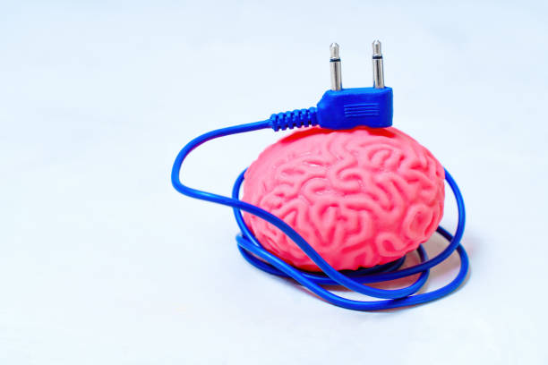 cerebro humano con un cable de alimentación - brain network connection plug intelligence artificial model fotografías e imágenes de stock