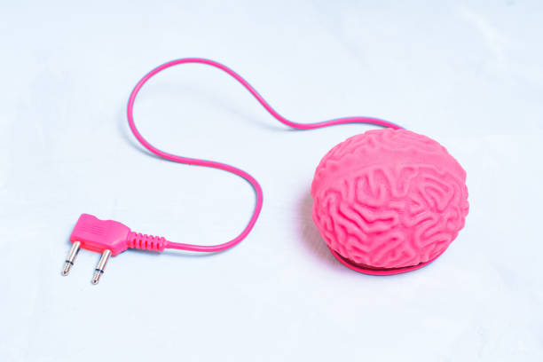 modelo de cerebro humano con un cable de fuente de alimentación conectado - brain network connection plug intelligence artificial model fotografías e imágenes de stock