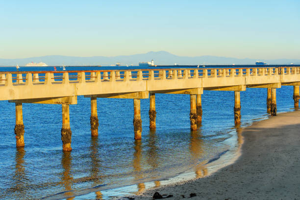istock Cabrillo Pier in San Pedro Harbor on a Sunny Winter Day 1695394878
