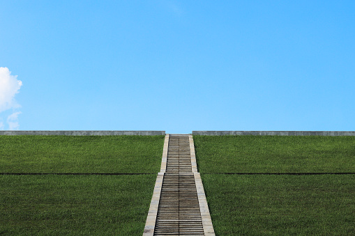 Field of grass and perfect sky