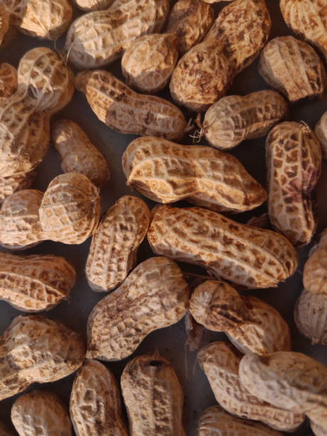 aliments crus : arachide - peanut legume textured effect fat photos et images de collection