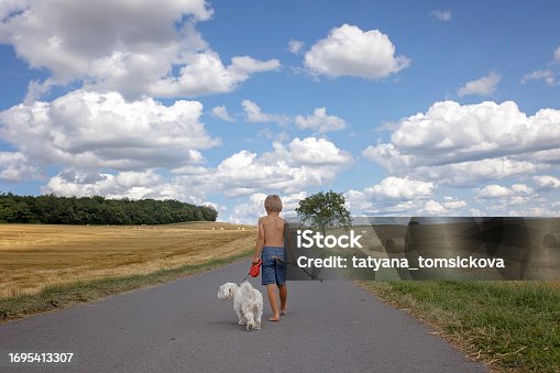 Beautiful blond child, boy, walking on rural road with his sweet little maltese pet dog. Amazing landscape, rural scene with clouds, tree and empty road summertime, fields of haystack next to the road