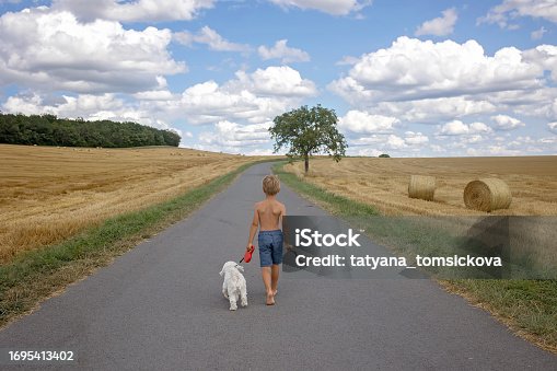 Beautiful blond child, boy, walking on rural road with his sweet little maltese pet dog. Amazing landscape, rural scene with clouds, tree and empty road summertime, fields of haystack next to the road