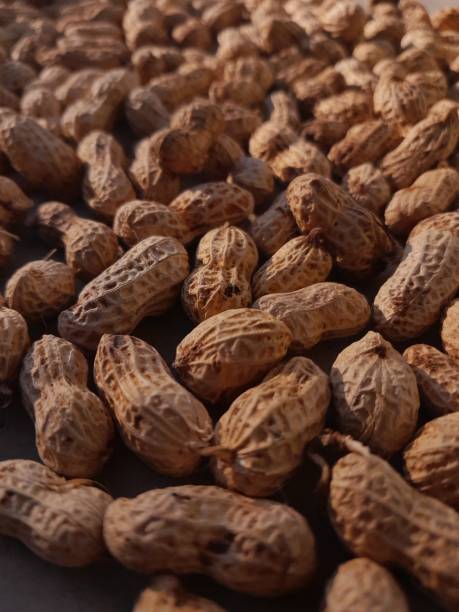 aliments crus : arachide - peanut legume textured effect fat photos et images de collection