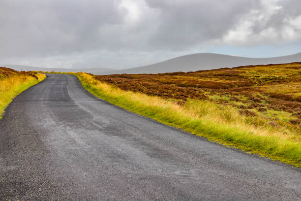 istock Road, Bogs with mountains in background in Sally gap 1695428655