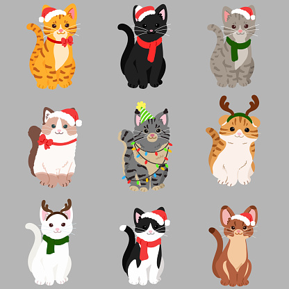 Simple and adorable cats sitting in front view set flat colored Christmas version