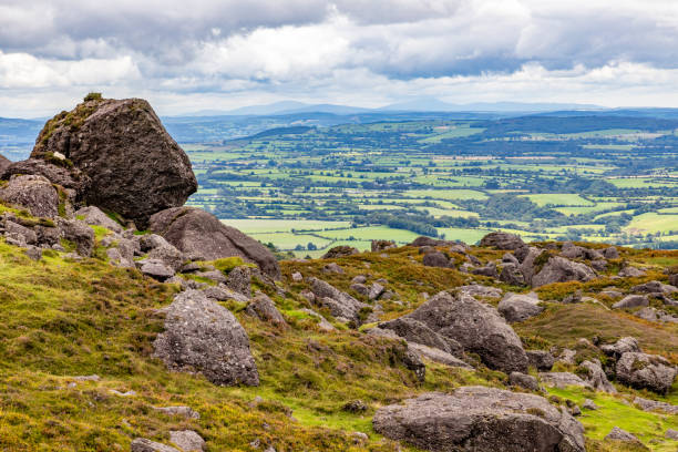 istock Rocks and vegetation on Trail to Coumshingaun Lough 1695430228
