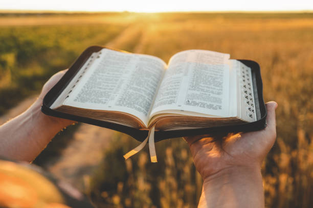 istock Open bible in hands, wheat field and road, christian concept 1695453627