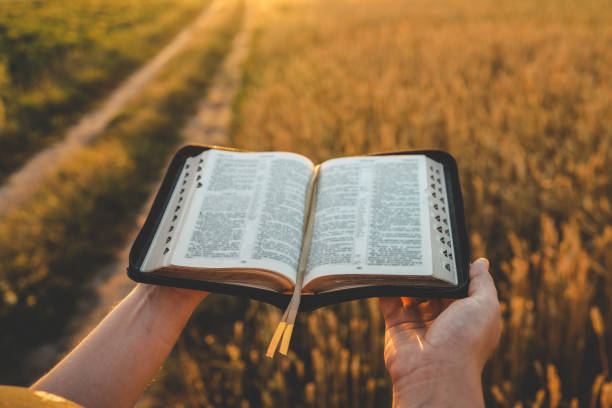 istock Open bible in hands, wheat field and road, christian concept 1695453628