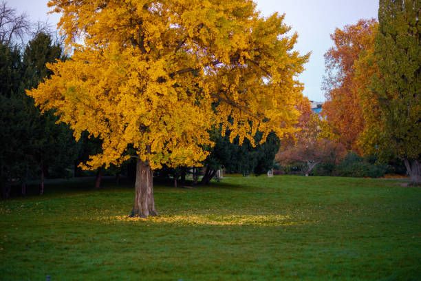 istock landscape in autumn in Prague, Czech Republic 1695460932