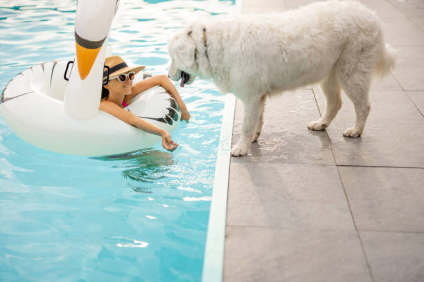 istock Woman plays with a dog while swimming at pool 1695462670
