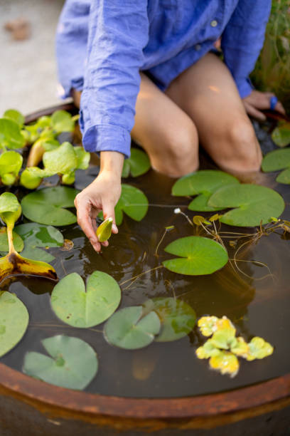 istock Woman in garden during summer time 1695479571