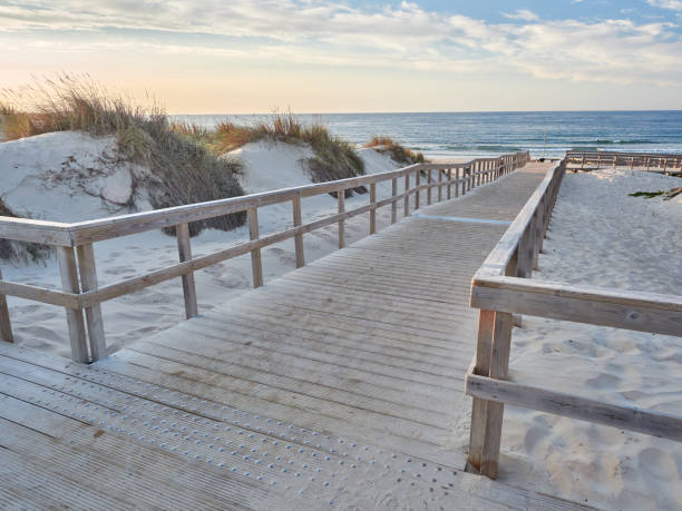 istock Woodwalk leading down to the beach 1695512373