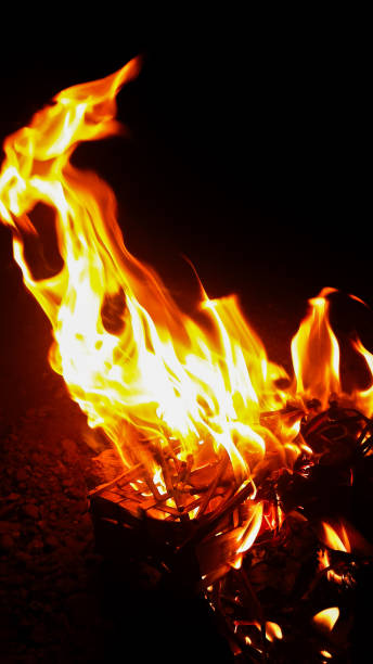 la température - party barbecue grill burning healthcare and medicine photos et images de collection
